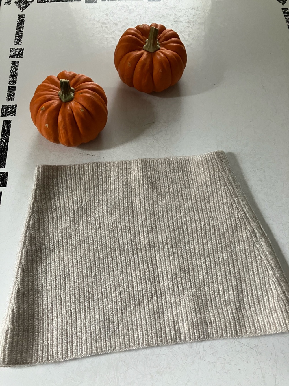 Everlane cashmere snood neck warmer oatmeal